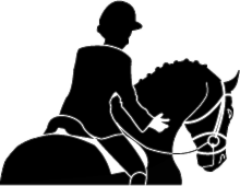 2 Bergensryttere deltok på Dressurstevne